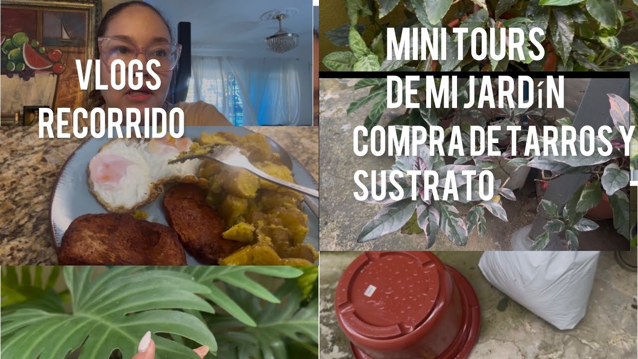 Recorrido por mi jardín delantero y trasero 🌿 | Así va el jardin  | Ideas de jardín en casa