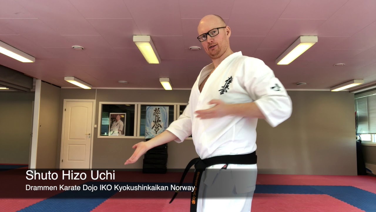 Shuto Hizo Uchi