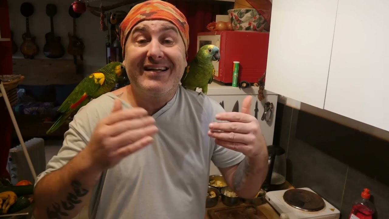L' alimentation d'un perroquet