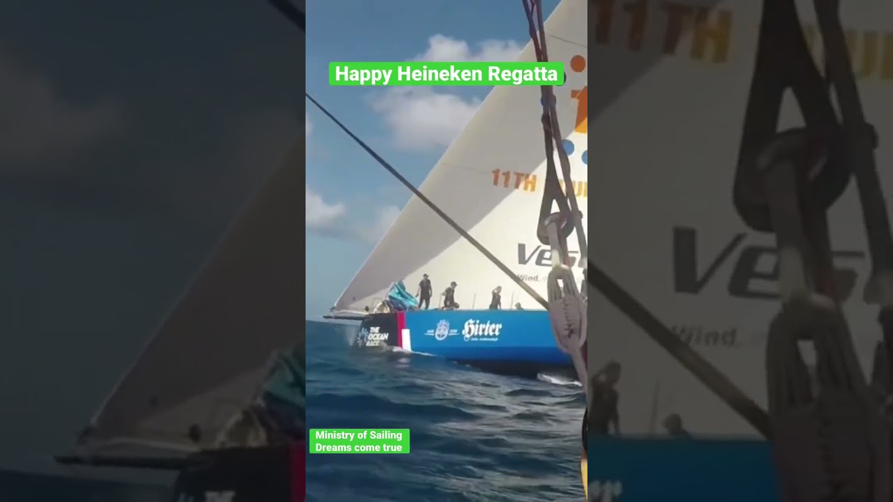 Are you following the Heineken Regatta? 
