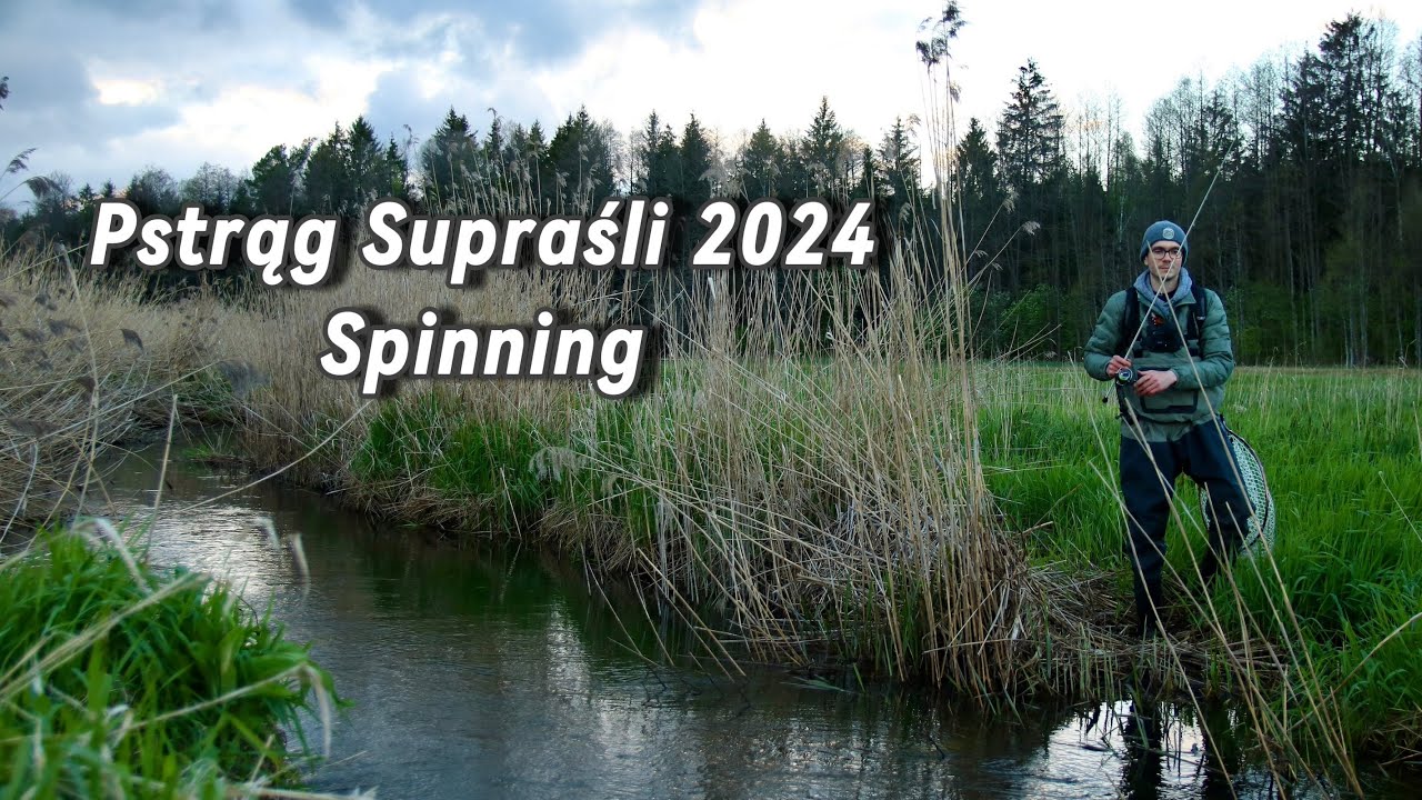 Pstrąg Supraśli czyli Pstrągi z Podlasia | Okonie, Klenie, Pstrągi na Spinning