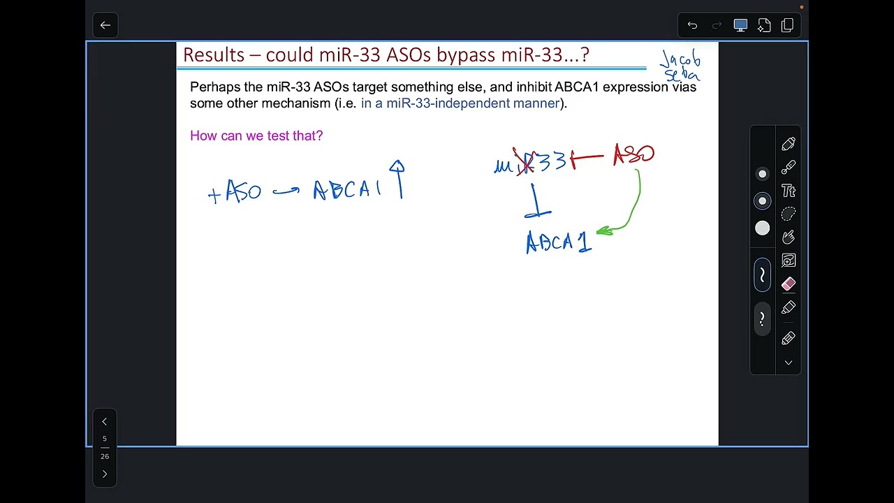 Sp26 W4.2-CEBP and ApoE-recording