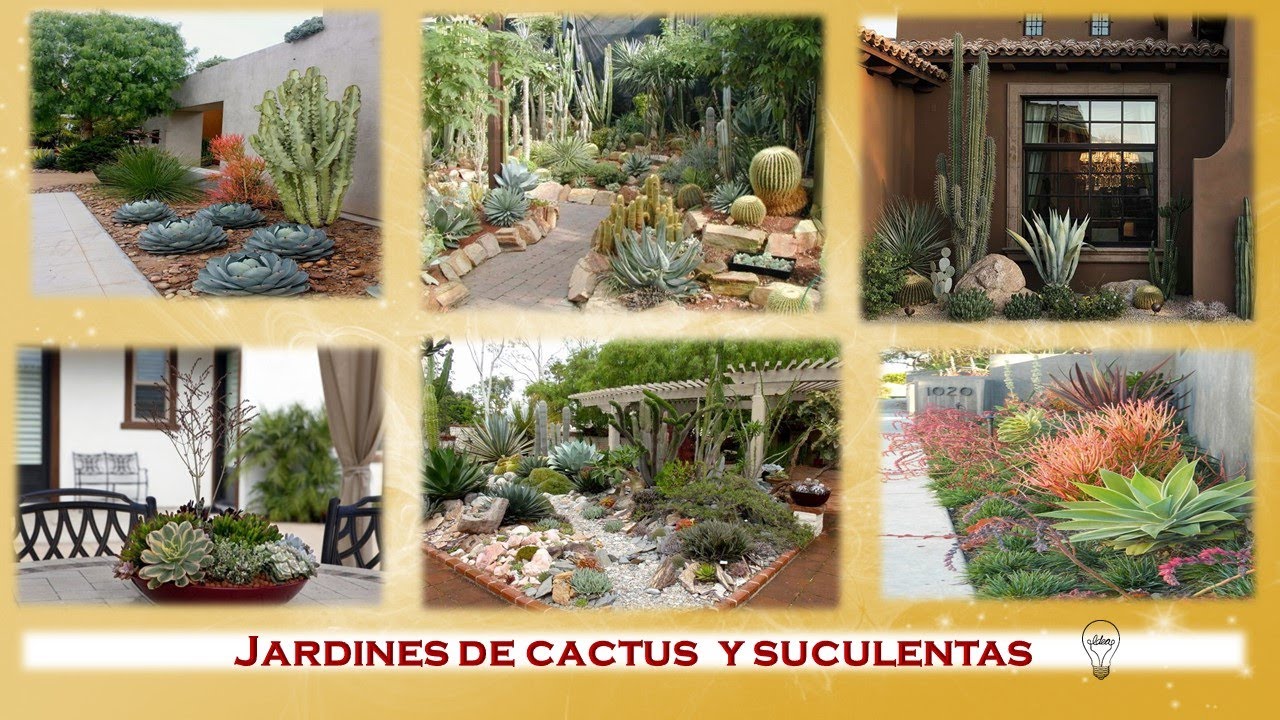 Jardines de cactus y suculentas
