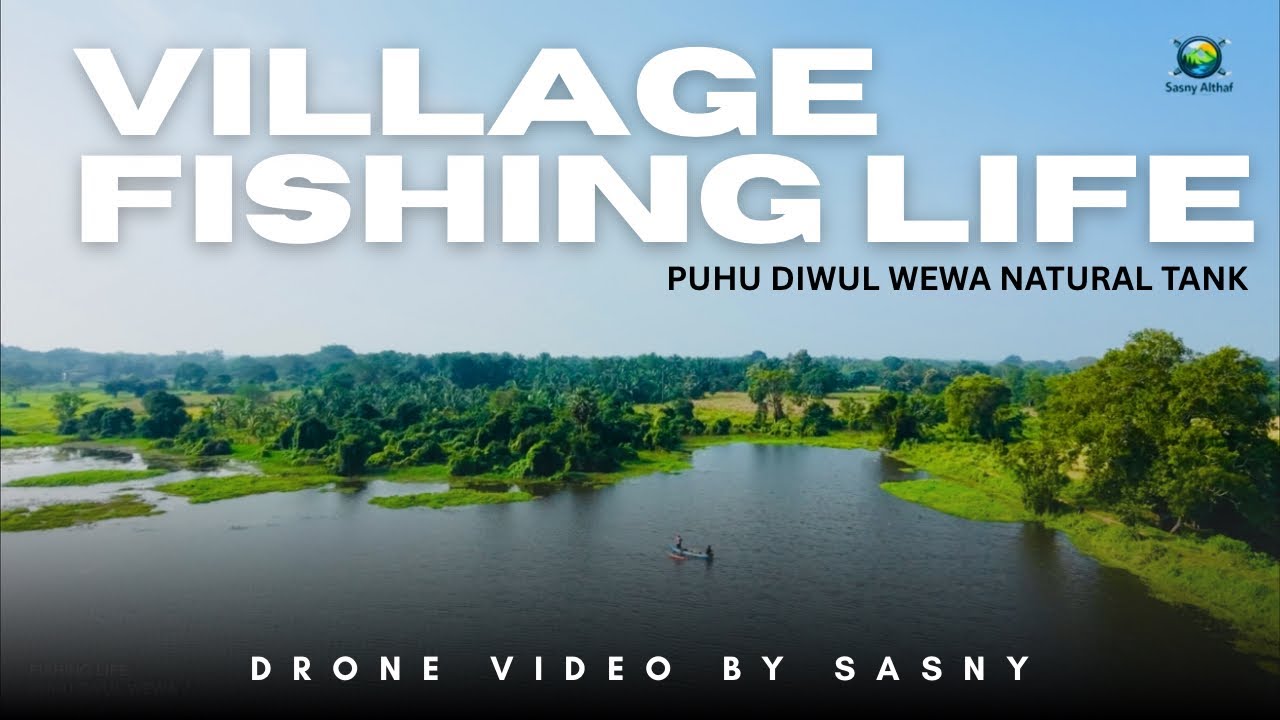 Peaceful Fishing Life at Puhu Divul Wewa | Stunning Drone Views 🌿🎣 #fishing #nature 
