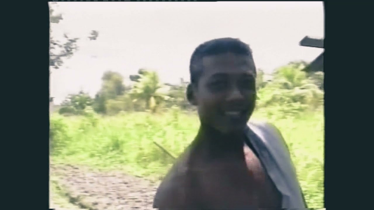 accaribo