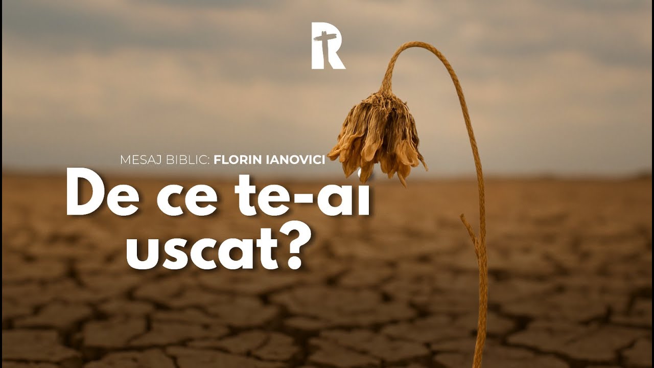 Florin Ianovici - De ce te-ai uscat? | 14 August 2025