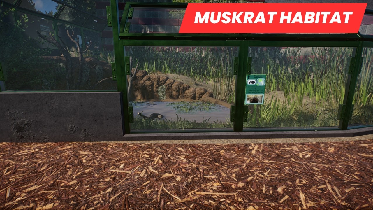 Зоопарк Три-Стейт расширяется за счет новых обитателей, находящихся под угрозой исчезновения.