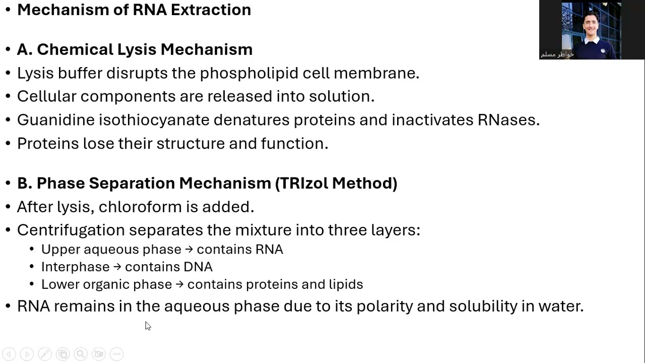 RNA EXTRACTION LECTURE PART 1