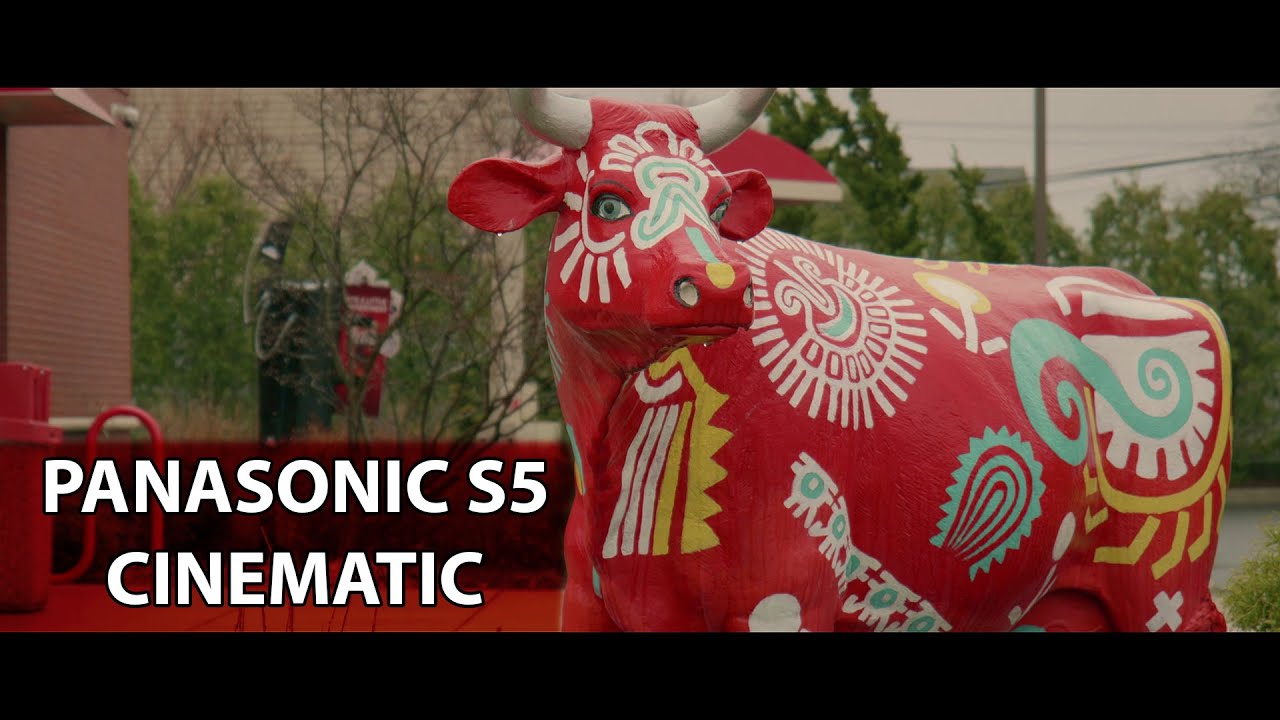 Panasonic S5 with Kit lens 20-60, Cinematic DCI 10bit