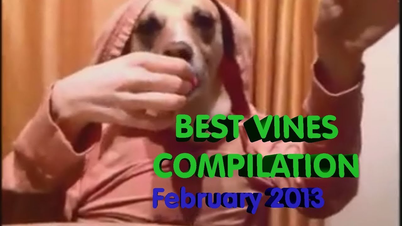 Best Vines Compilation February 2013 [epic, awesome, funny]