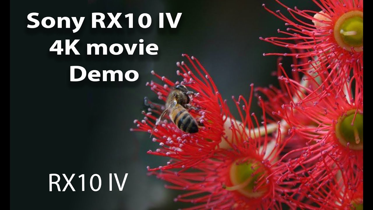 Sony RX10 IV - 4K movie Demo