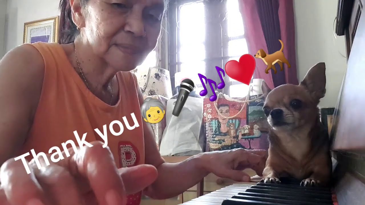 Jewjam she's fine, just listen to her fovorite song.👵🐕