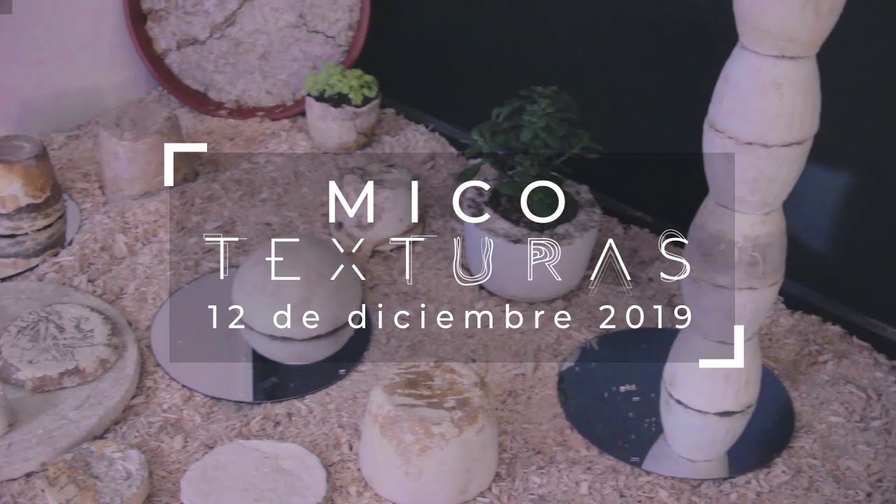 MICOTEXTURAS 2019