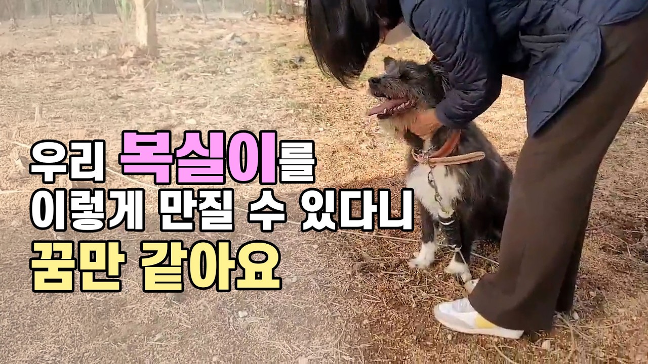 #32회 