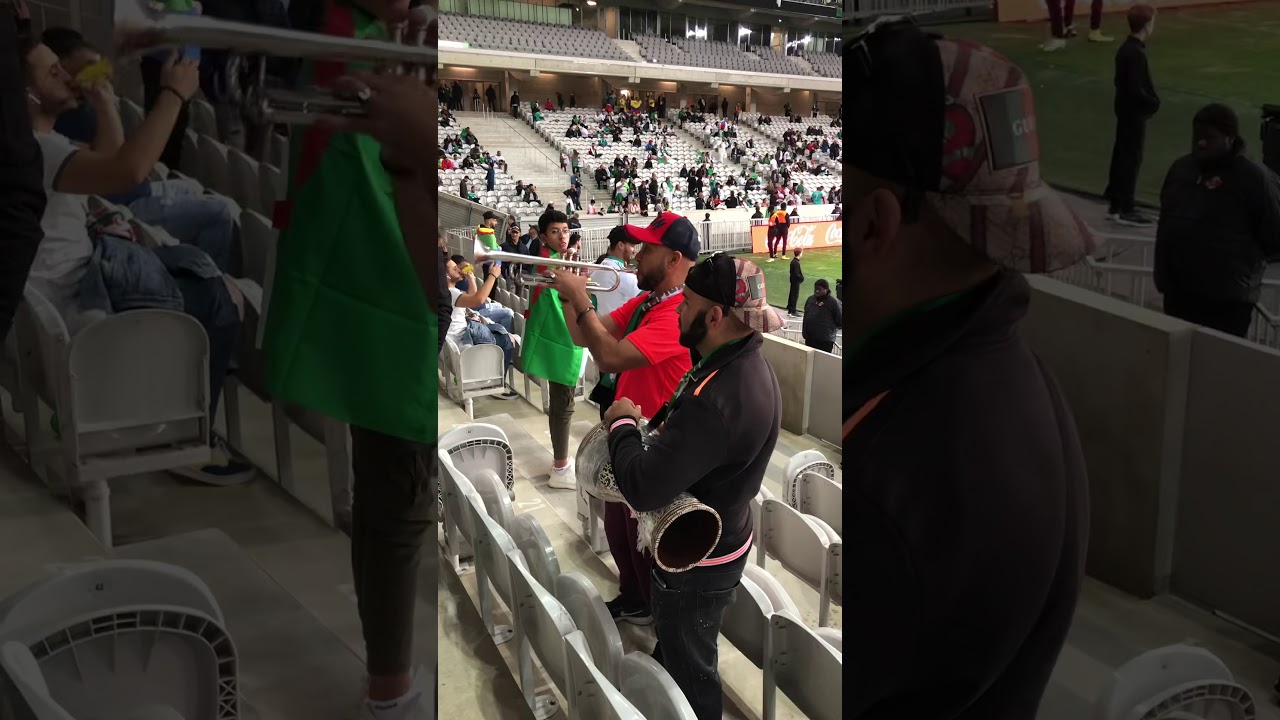 Algérie Colombie // Ambiance de fou 🇩🇿🇩🇿🇩🇿