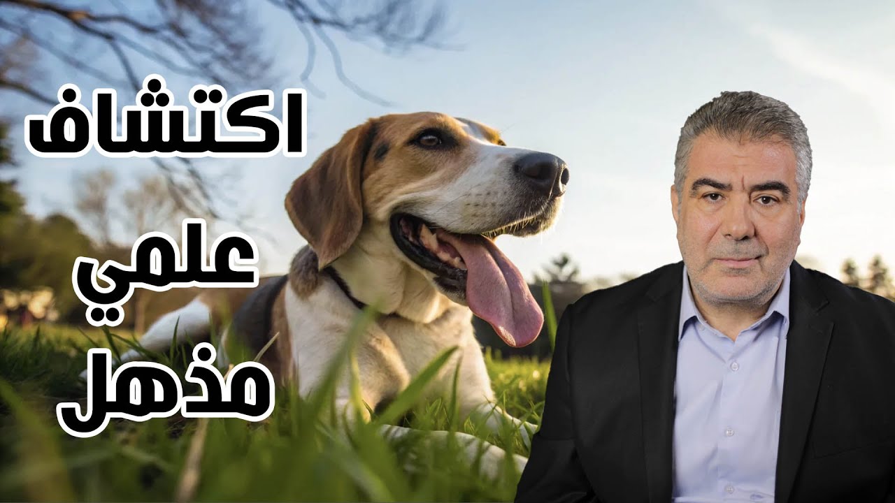 اكتشاف علمي مذهل.. لماذا يلهث الكلب؟