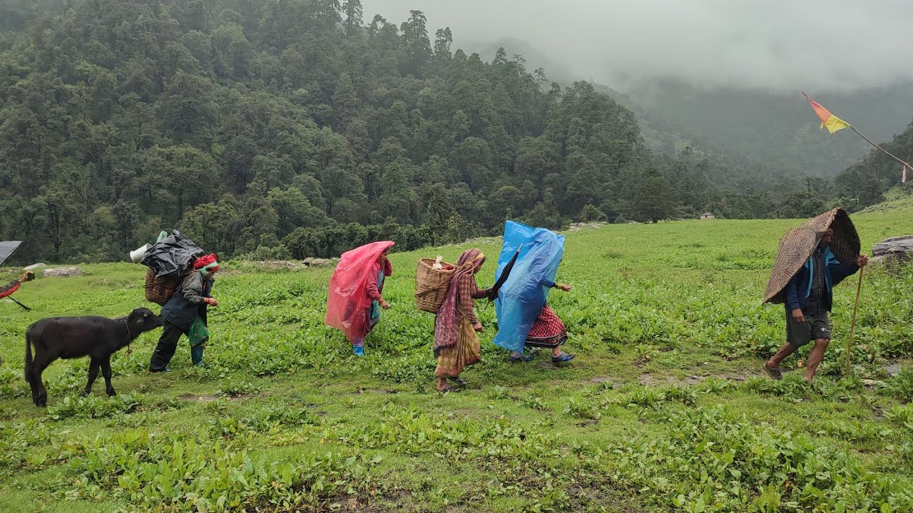 This is Himalayan Life | Rainy Day in Village | Nepal🇳🇵|Ep- 276| Though Nepali Mountain Life