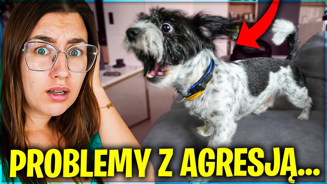 NASZ PIES MA PROBLEMY Z AGRESJĄ...