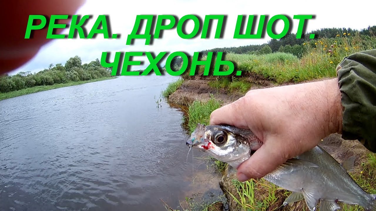 РЕКА.ДРОП ШОТ.ЧЕХОНЬ.RIVER.THE DROP SHOT.SABREFISH.