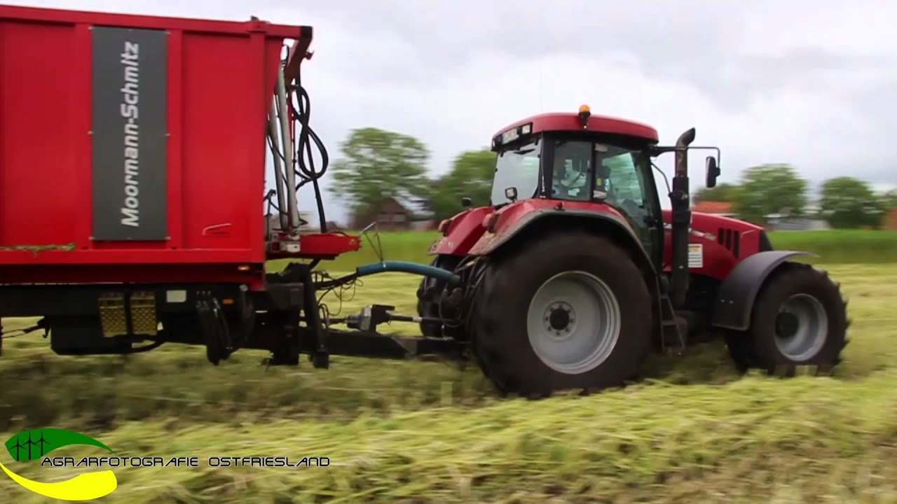[HD] Hanfernte|Holland|2015