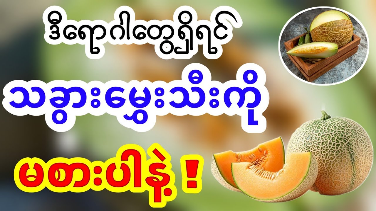 သခွားမွှေးသီးကို မစားသင့်သော ရောဂါ အုပ်စု (၁၀)စု!Muskmelon ,10 People Who Must Avoid It Immediately!