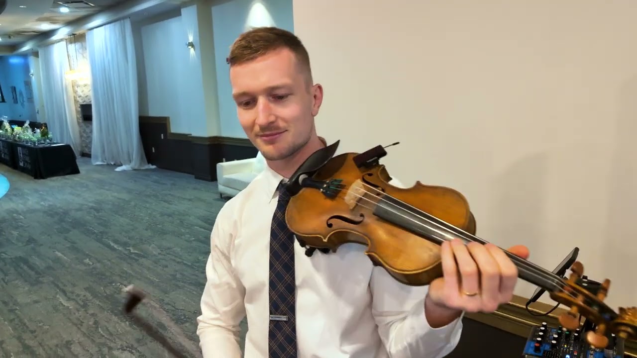 Florence and the Machine - Dog Days Are Over (Violin Cover)