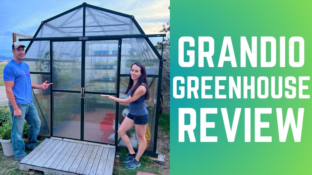 Стоит ли покупать теплицу-комплект? Обзор Grandio Greenhouse