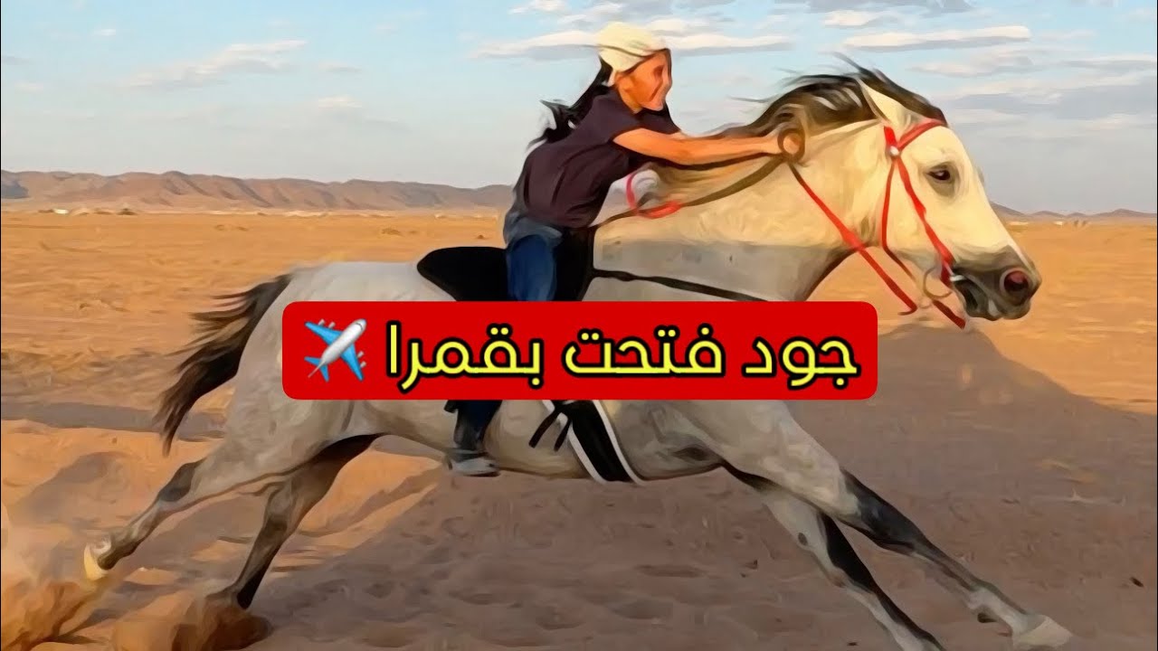 جود فتحت على قمرا ✈️ شوفوا من يتدرب عند جود 😄 سعد مايركب غير قدام الضيوف 😂