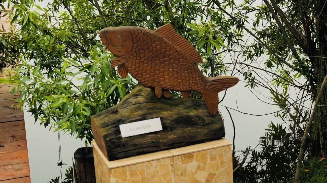 Iazul Suharau-Botosani (Prezentare lac)