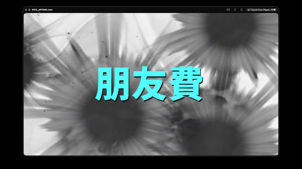 初音ミク  原創  朋友費
