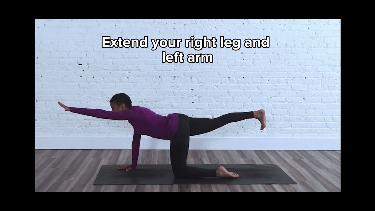 Bird Dog Pose for Beginners 🐦🐕 | Improve Balance & Core Strength