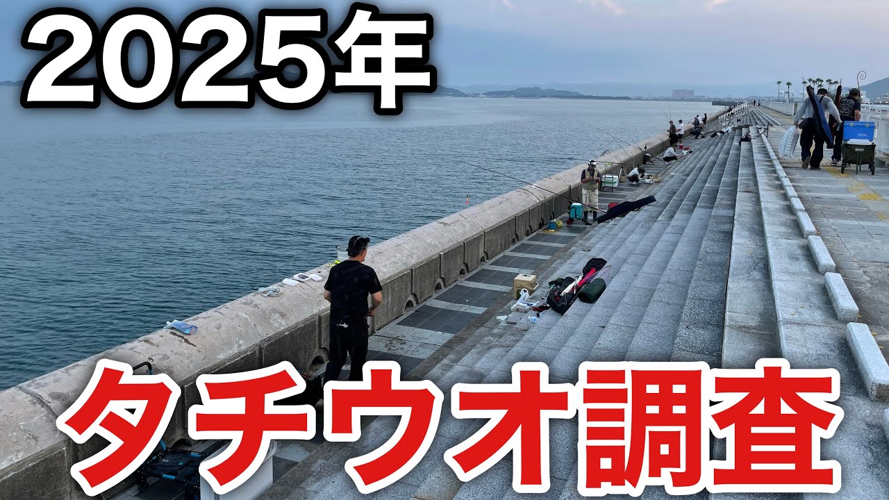 【タチウオ釣り】初心者でも太刀魚が簡単に釣れる堤防がやばい。