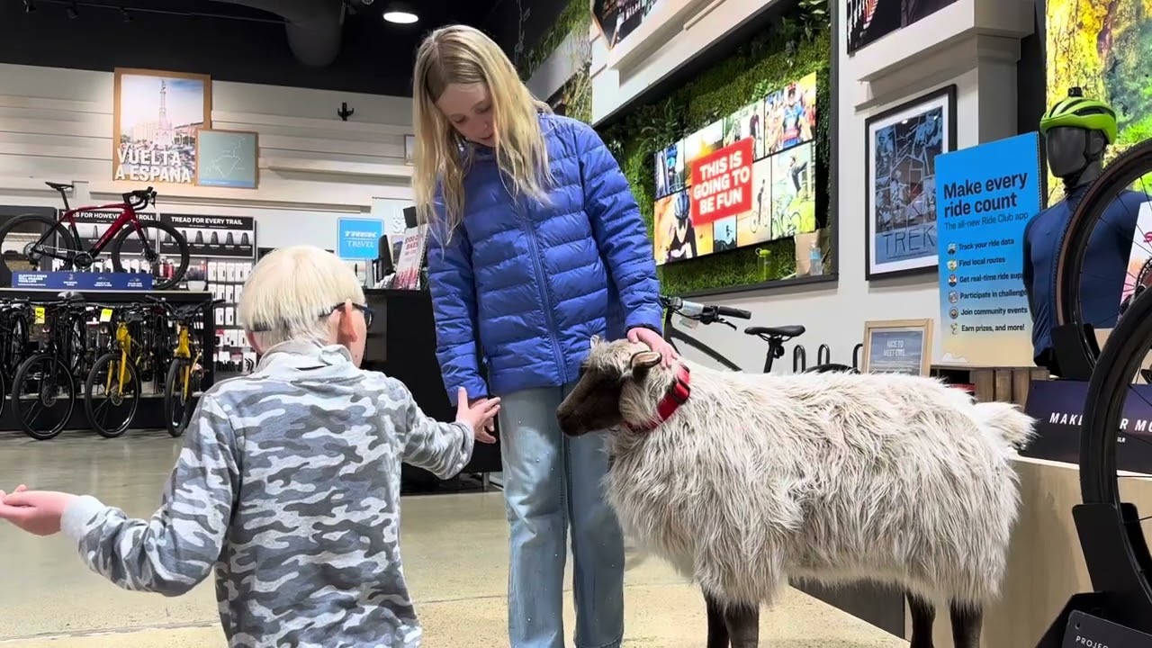 Meeting Trek’s Herman Sheep