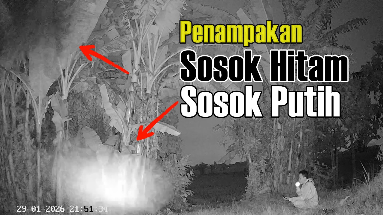 Uji Nyali di Bukit Tengah Sawah