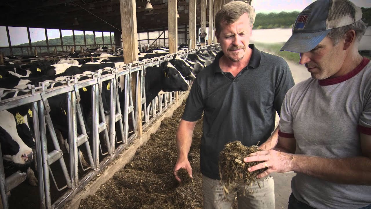 The Mississippi River: America's Great Watershed