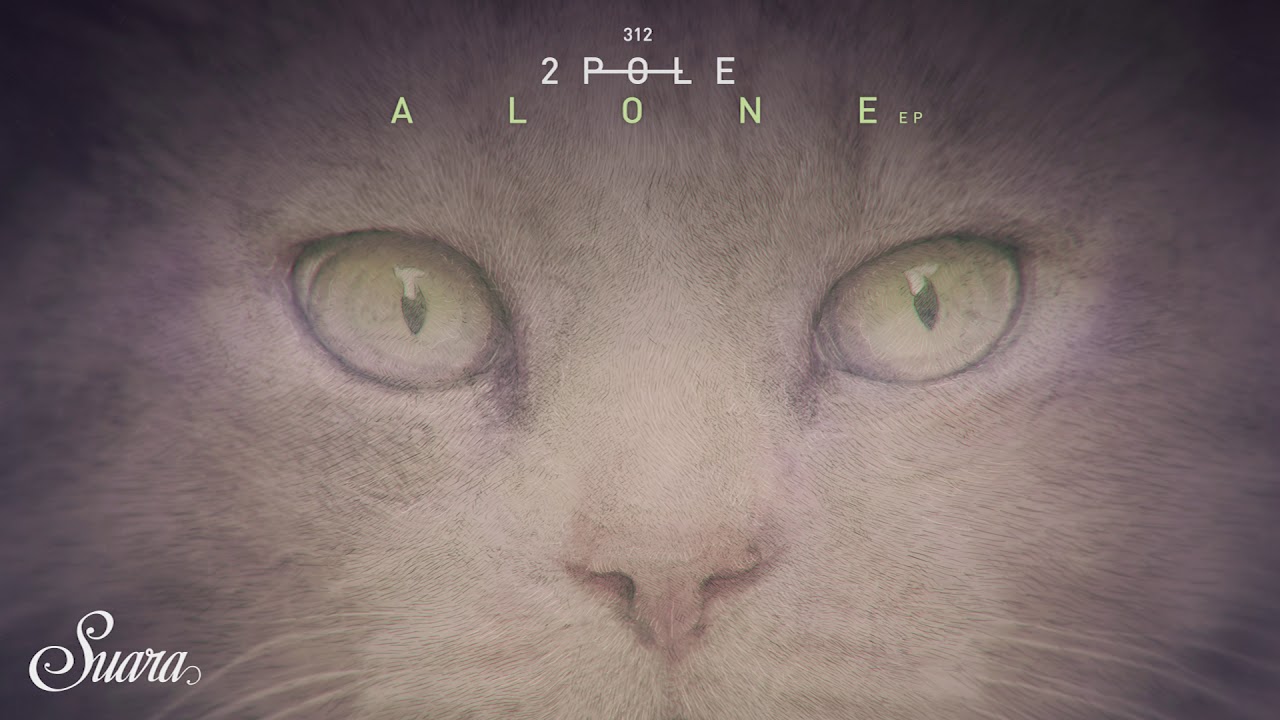 2pole - Acep (Original Mix) [Suara]