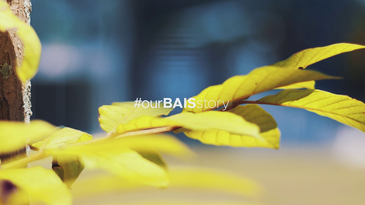 BAIS Family Testimony 2025