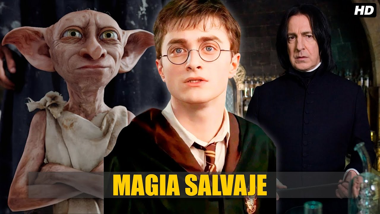 QHPS Harry Hubiera Crecido Como Un Elfo Y Rechazado El Mundo De Los Magos?