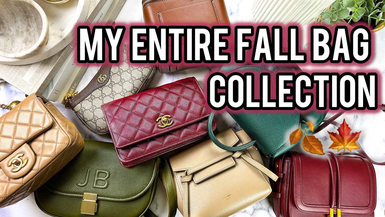 17 LUXURY AND AFFORDABLE OPTIONS: Sharing my 2024 Fall Bag Collection--Bag Reviews and Mod Shots!
