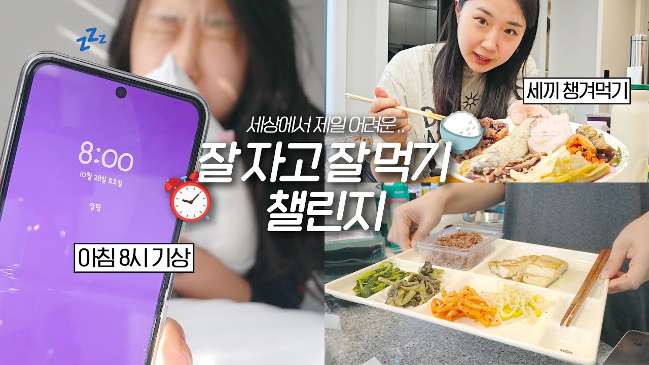 아침 8시에 일어나서, 세끼 챙겨먹기! 나만의 갓생 챌린지✨ 일주일 VLOG