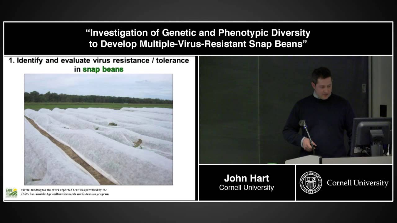 John Hart - Genetic and Phenotypic Diversity to Develop Virus Resistant Snap Beans