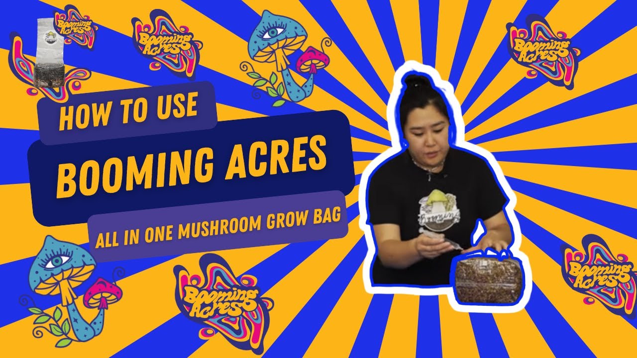 Как использовать пакет для выращивания грибов &laquo;Все в одном&raquo; от Booming Acres