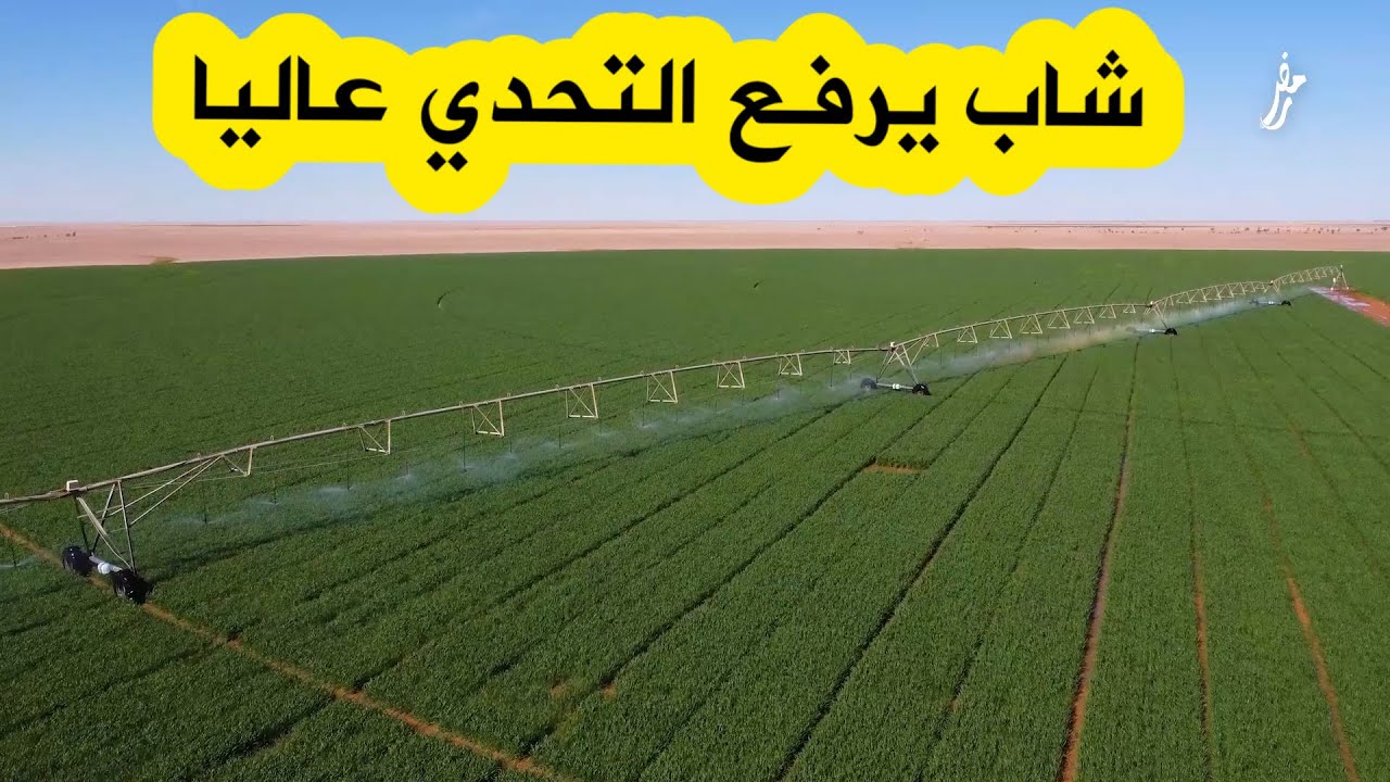 كاميرا 