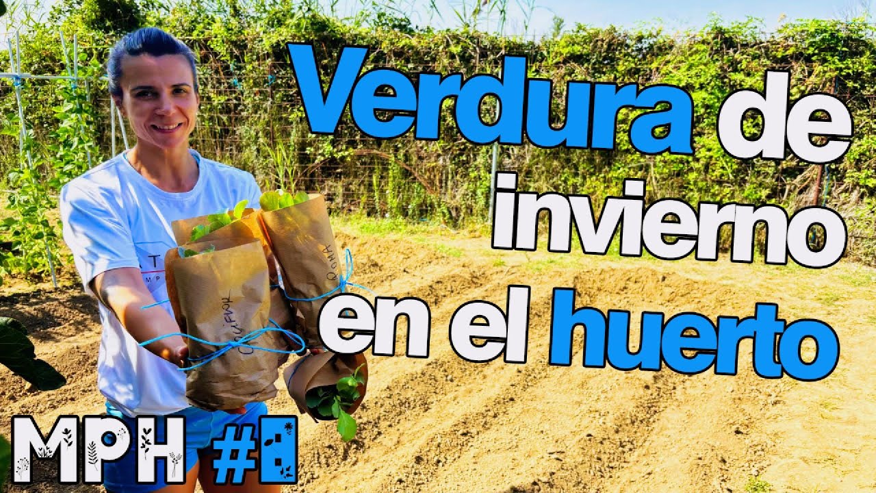 ¡Cultivo las MEJORES VERDURAS de INVIERNO en mi HUERTO!
