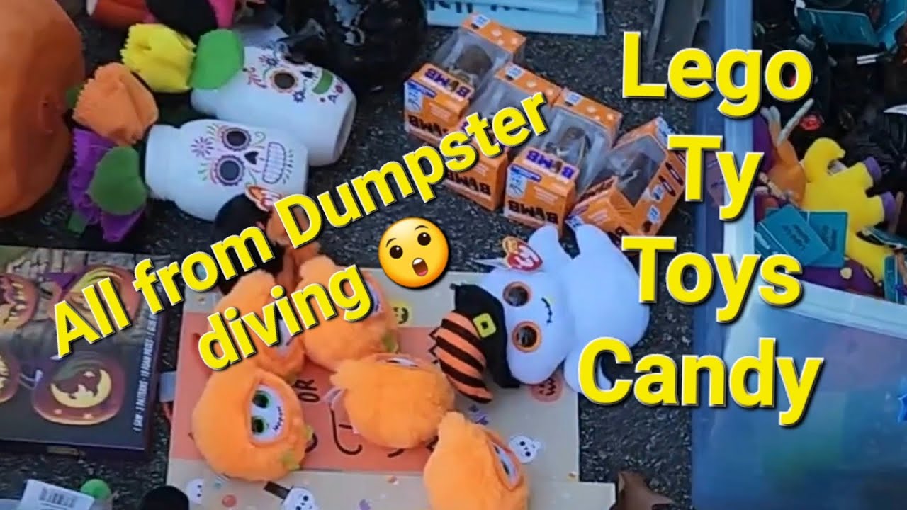 Dumpster diving and found all of this for free ! Lego, TY Plushies and more Employees Call the cops