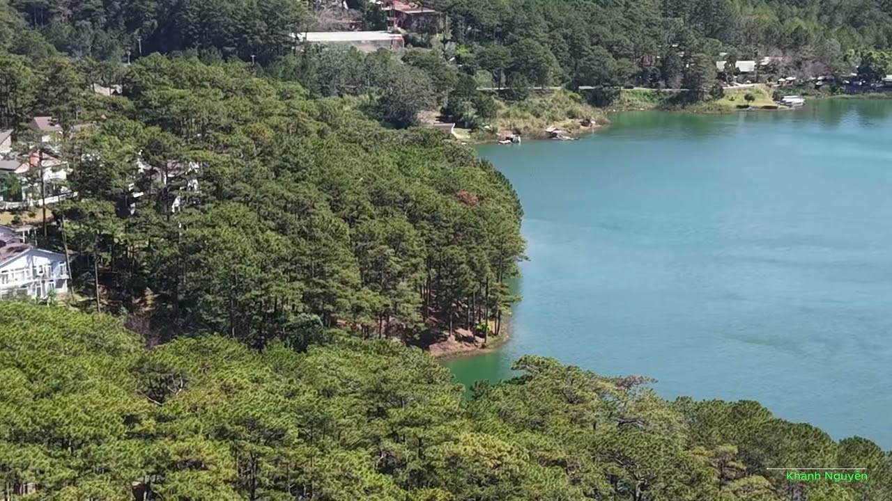 Đà Lạt năm 2026: Đồi Hoa Giấy đèo Gia Bắc và Hồ Tuyền Lâm