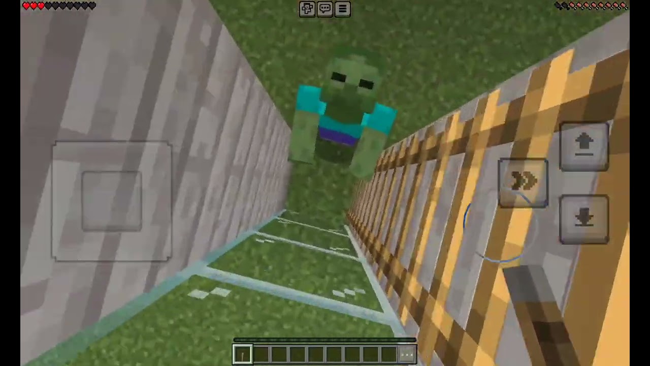 I have creacted Roblox (Dog!😨 ) In MINECRAFT!!!  (Had been used!!)