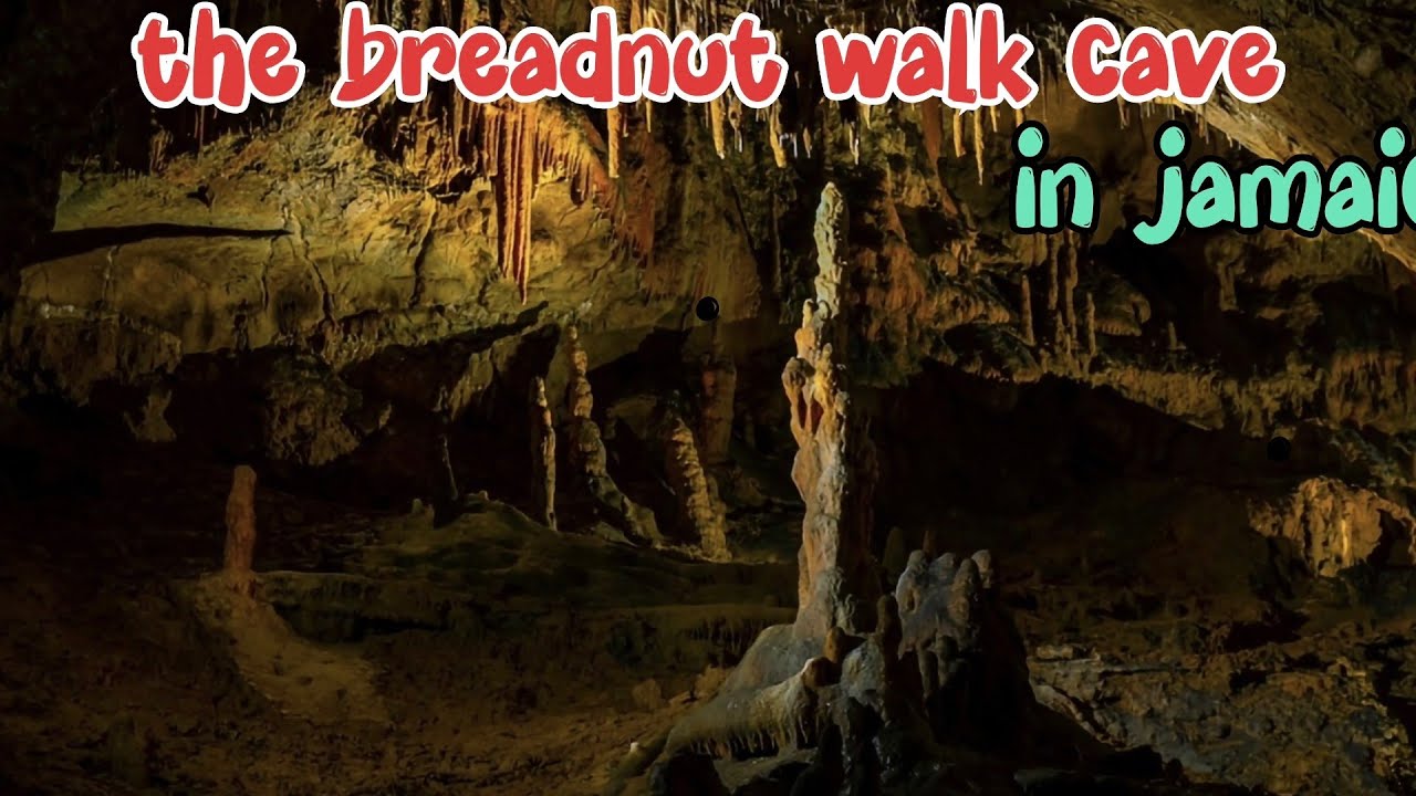 I discovered a lost cave in breadnut walk  st Elizabeth , can it be Re- hab for tourist #caves #dark