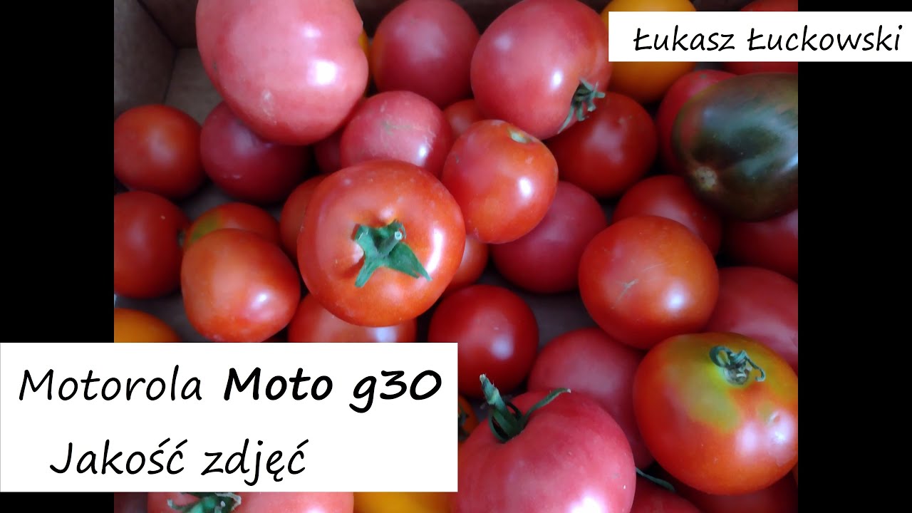 Motorola Moto g30 | Jakość zdjęć