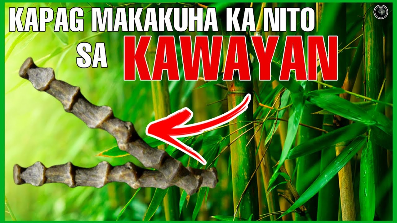 MUTYA AT BERTUD BUHAT SA KAWAYAN | AGIMAT AT MGA MUTYA SA PILIPINAS | Bhes Tv